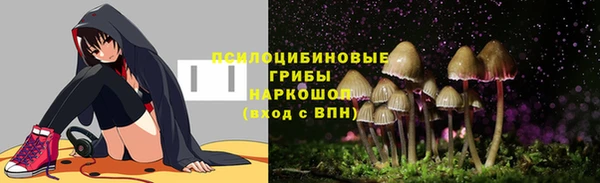 шишки Верея