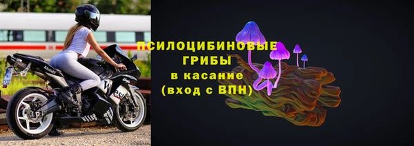 шишки Верея