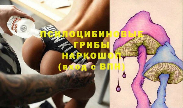 шишки Верея