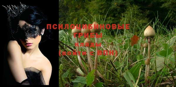 мефедрон Богородицк