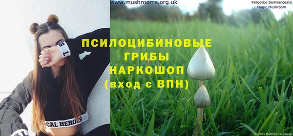 мефедрон Богородицк