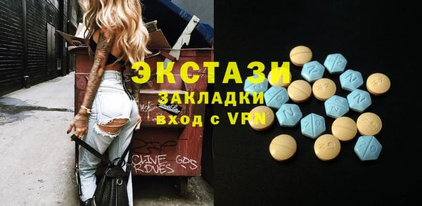 шишки Верея