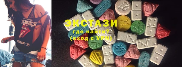 шишки Верея