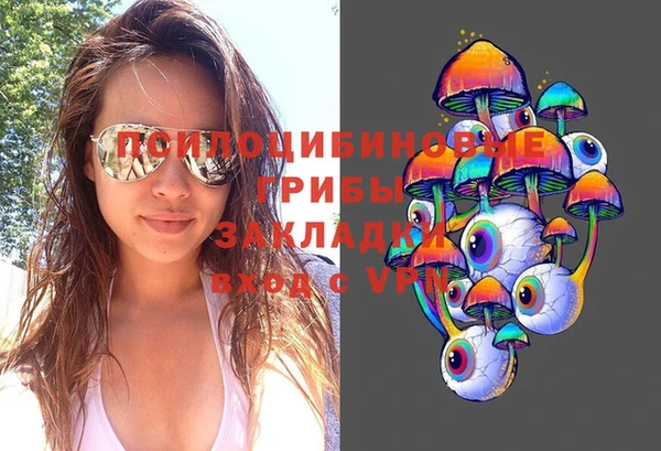 эйфоретик Богданович