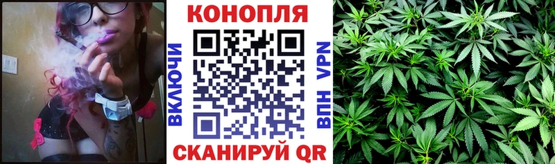 Бошки Шишки семена  Чудово 